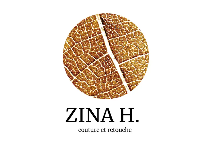 projet zhina H.